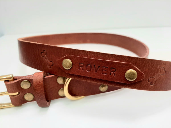 Rover dog outlet collars