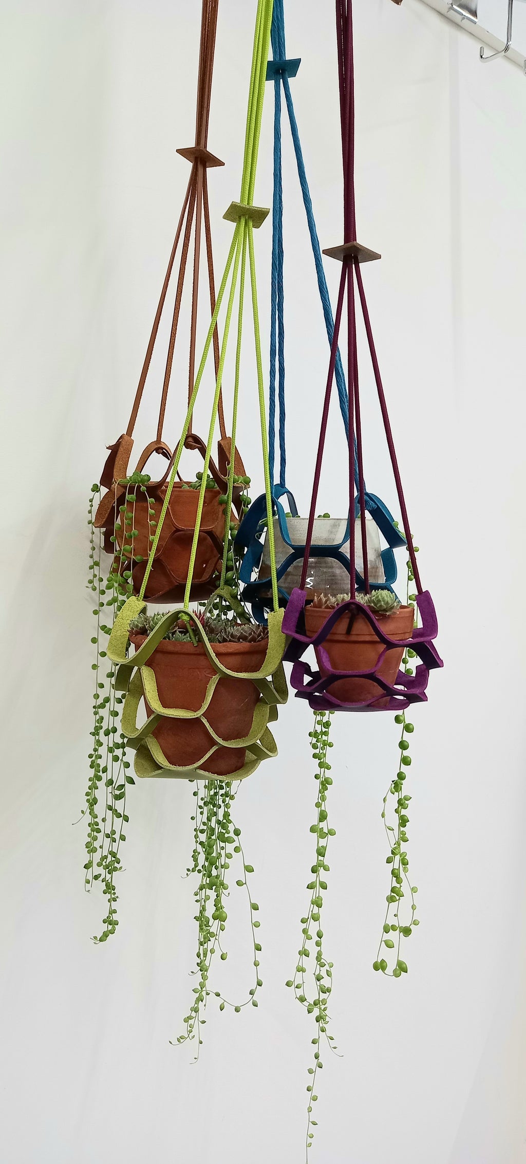Plant Hanger