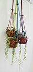 Plant Hanger