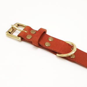 Personalised Dog Collar Workshop - Coterie Leather Bags